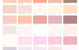 BẢNG MÀU SƠN NƯỚC NỘI NGOẠI THẤT NIPPON