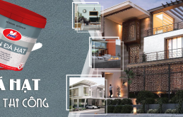 HƯỚNG DẪN THI CÔNG SƠN ĐÁ PUMA SDH 120 VÀNG ĐEN