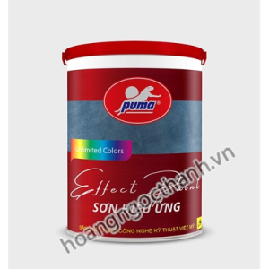 SƠN HIỆU ỨNG