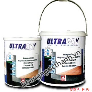 SƠN CHỐNG THẤM NGƯỢC - ULTRADRY UD900